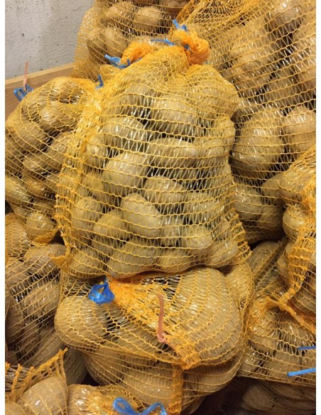 Pomme de terre 25kg