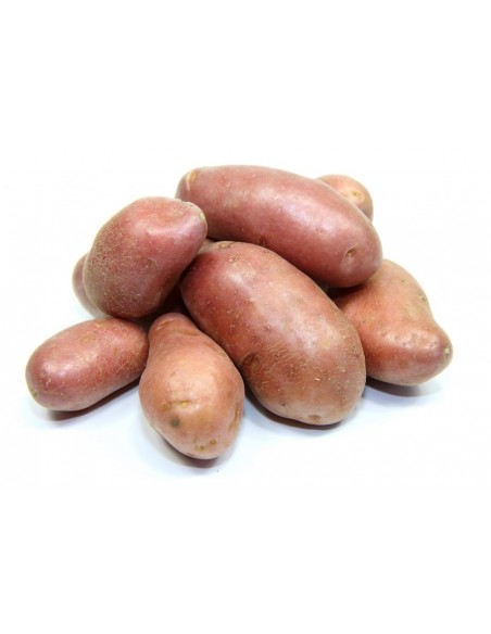 Pomme de terre 10kg